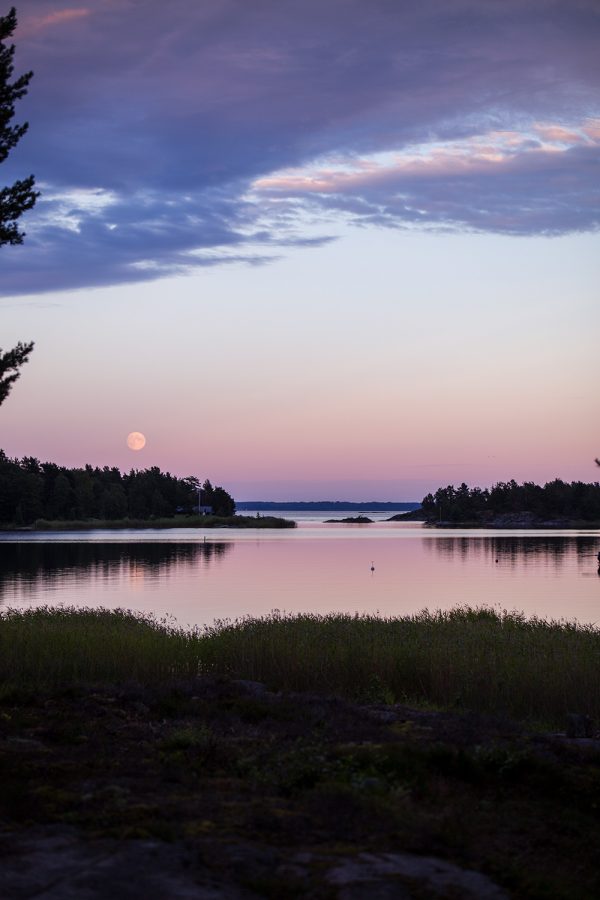 Moonlight