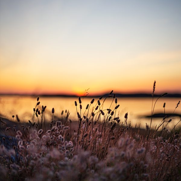 Solnedgång Klädesholmen