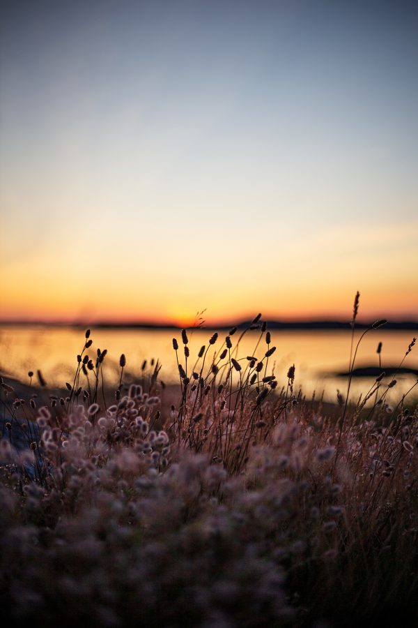 Solnedgång Klädesholmen